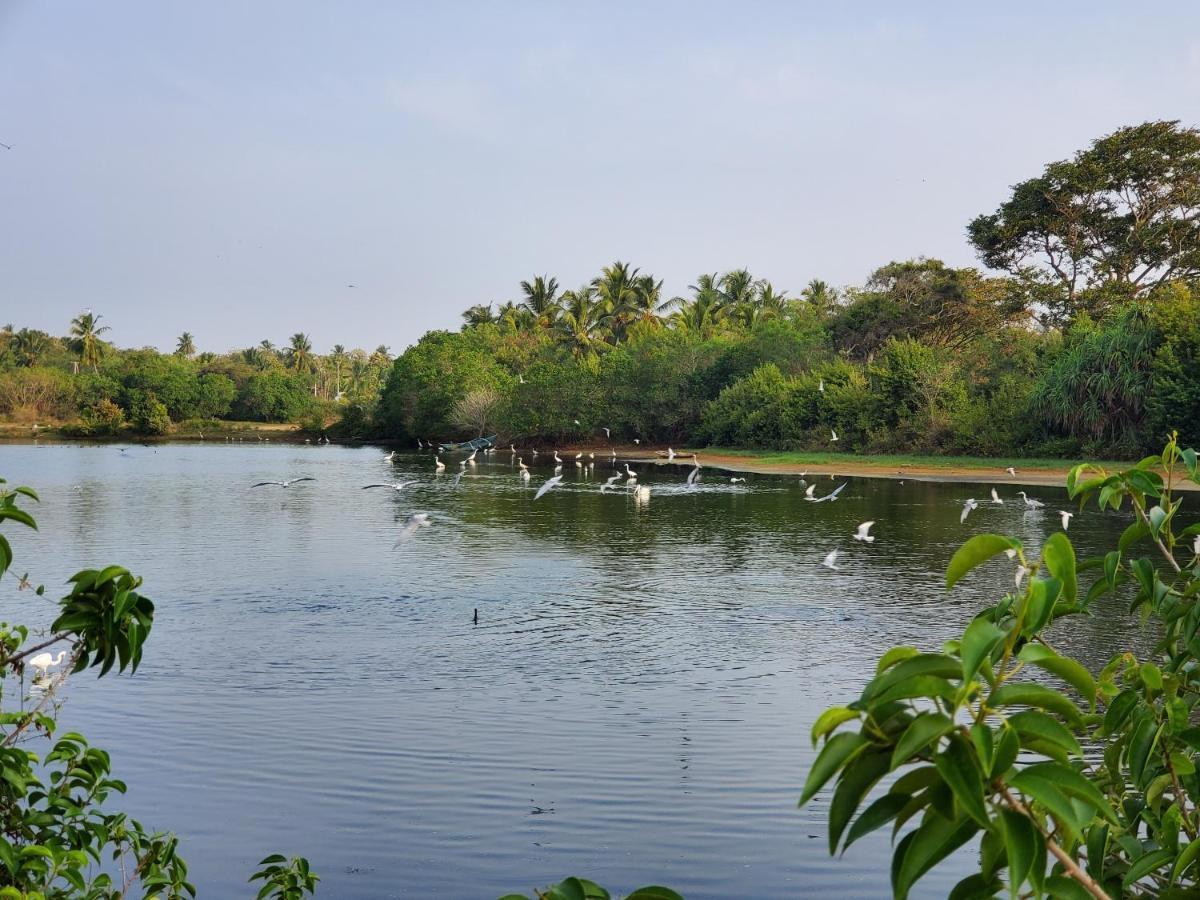 Ceu Ceylon Villa Tangalle Eksteriør bilde